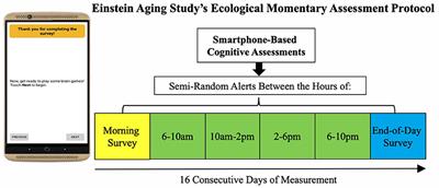 Variability in Cognitive Performance on Mobile Devices Is Sensitive to Mild Cognitive Impairment: Results From the Einstein Aging Study